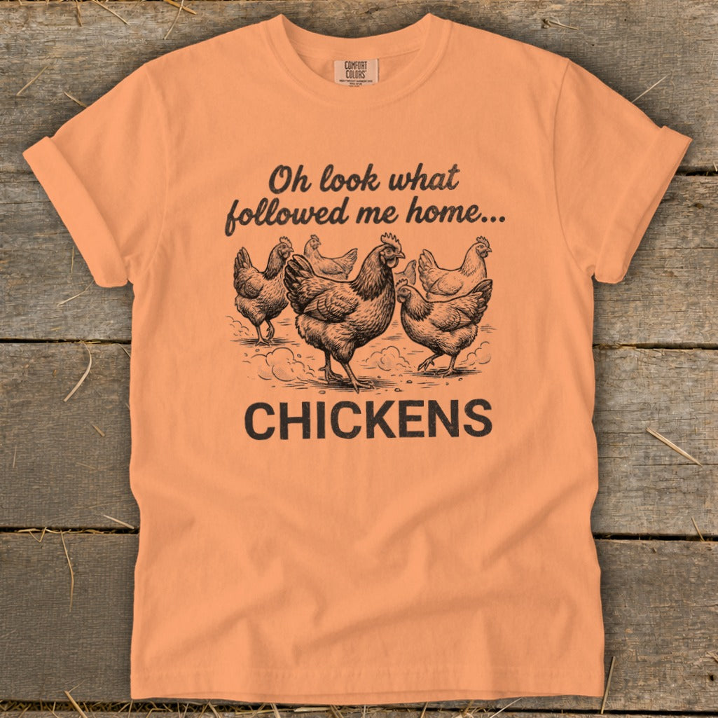 Orange t-shirt with "Oh look what followed me home... CHICKENS" and chicken illustration.