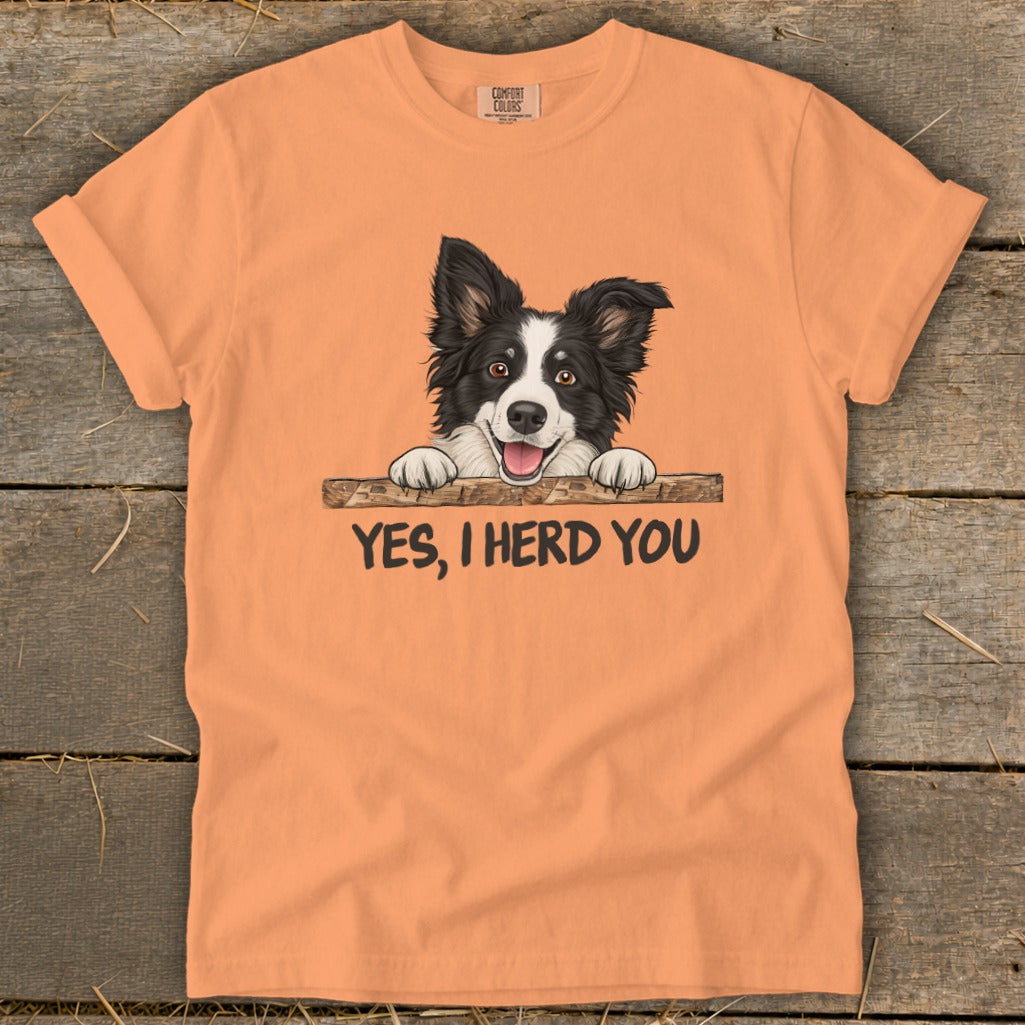 Orange t-shirt with a Border Collie dog graphic and "YES, I HERD YOU" text.