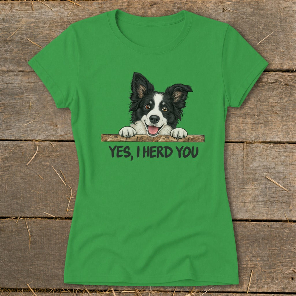 Green t-shirt with cartoon Border Collie and text "YES, I HERD YOU".