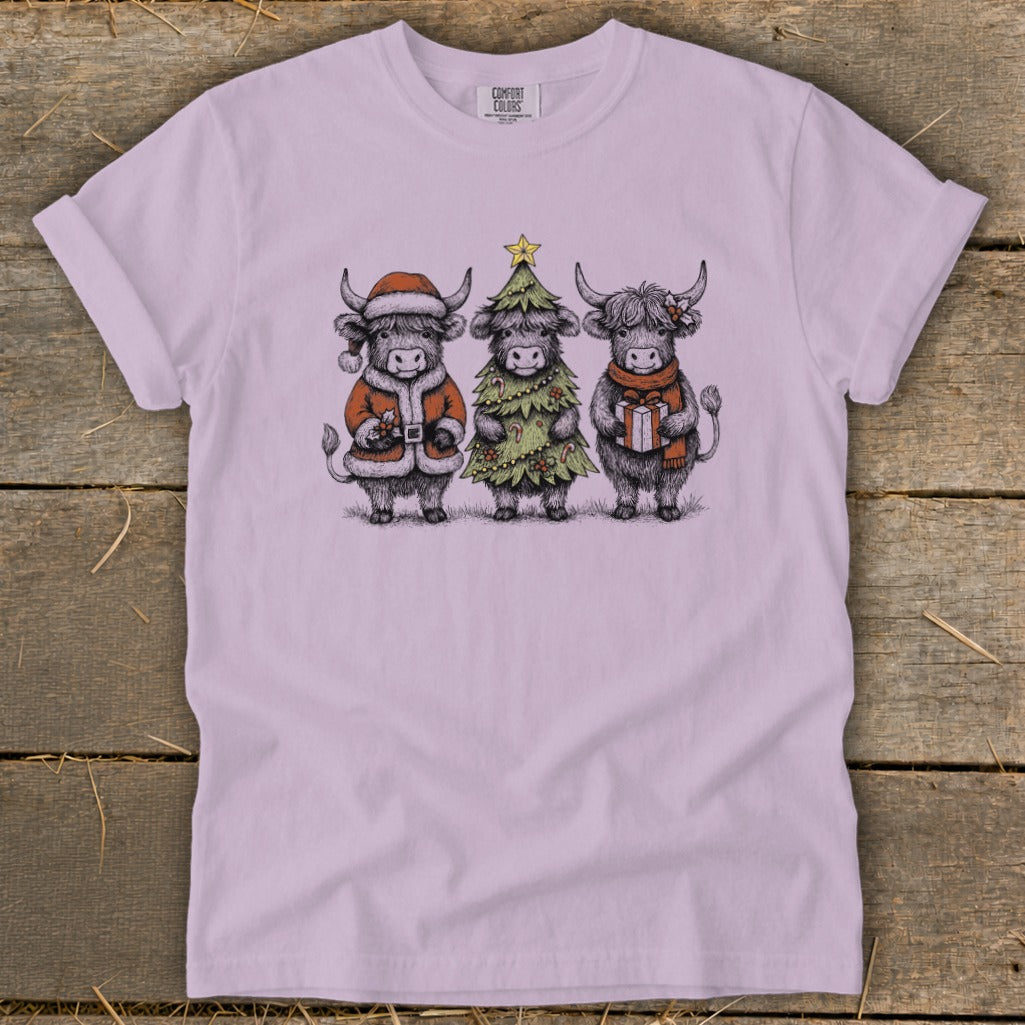 Three Highland cows dressed for Christmas, one in Santa suit, one as tree, one with gift.
