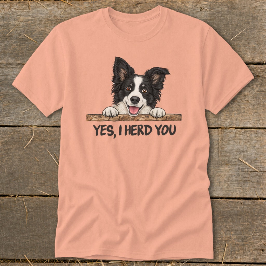 T-shirt with Border Collie illustration and text "YES, I HERD YOU".
