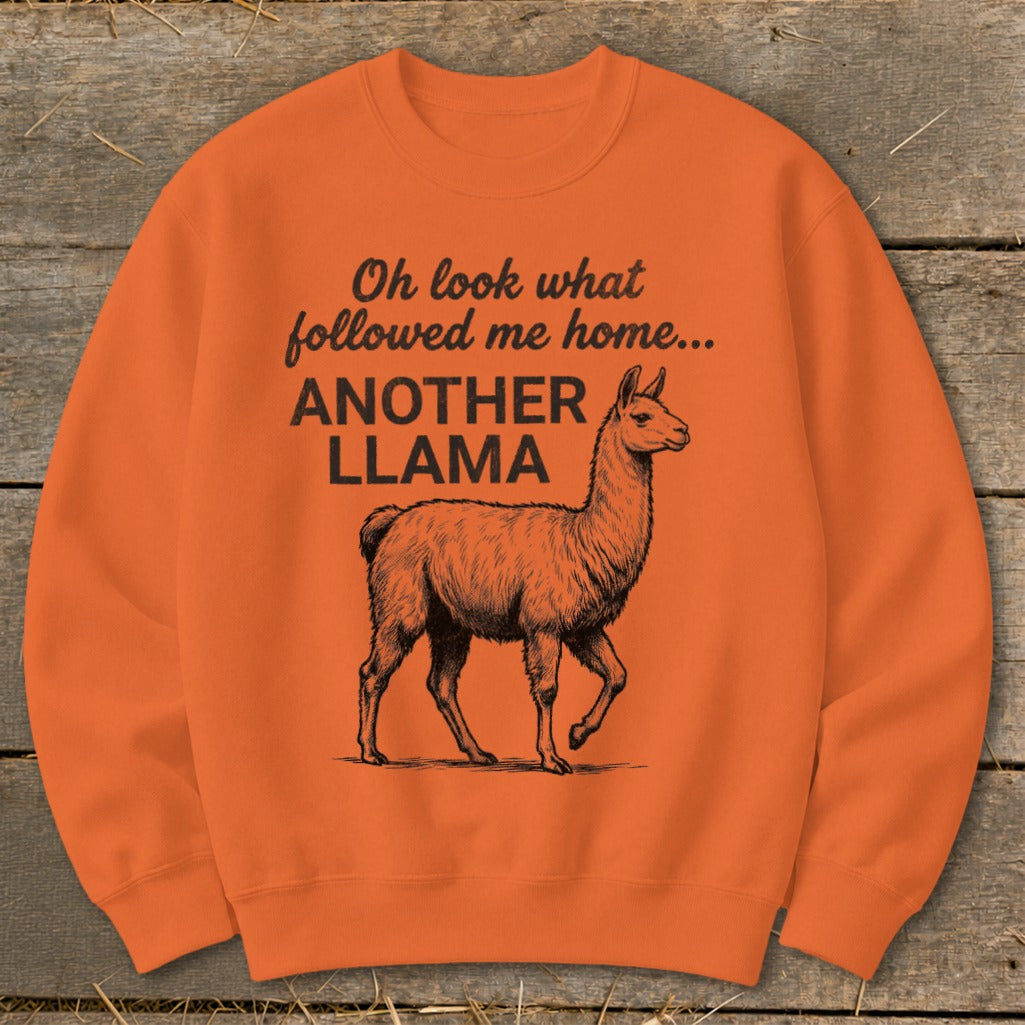 Orange sweatshirt with black text and a sketched llama illustration.