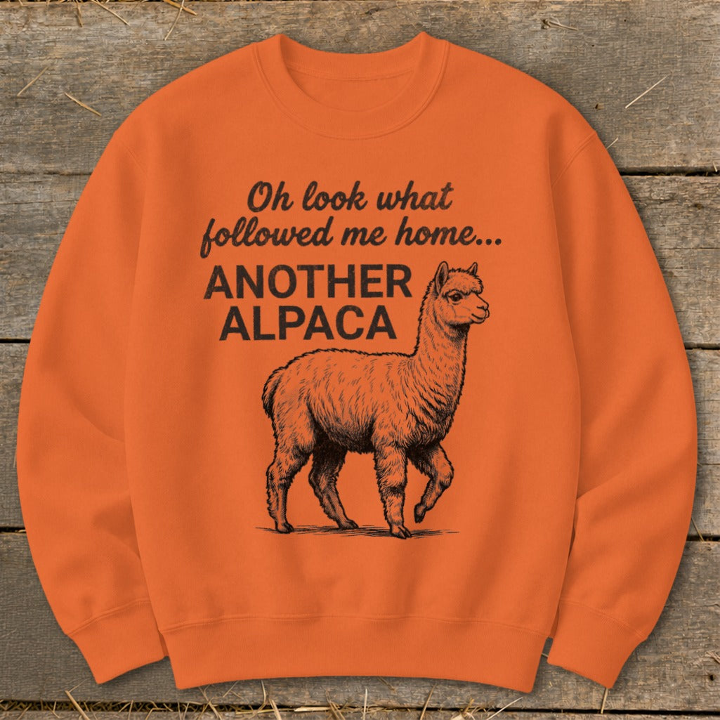 Orange sweatshirt with black graphic of an alpaca and text "Oh look what followed me home... ANOTHER ALPACA".