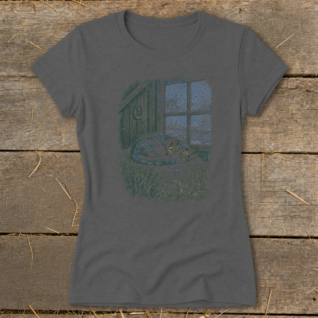 Cat sleeping on hay by a snowy window in a barn.