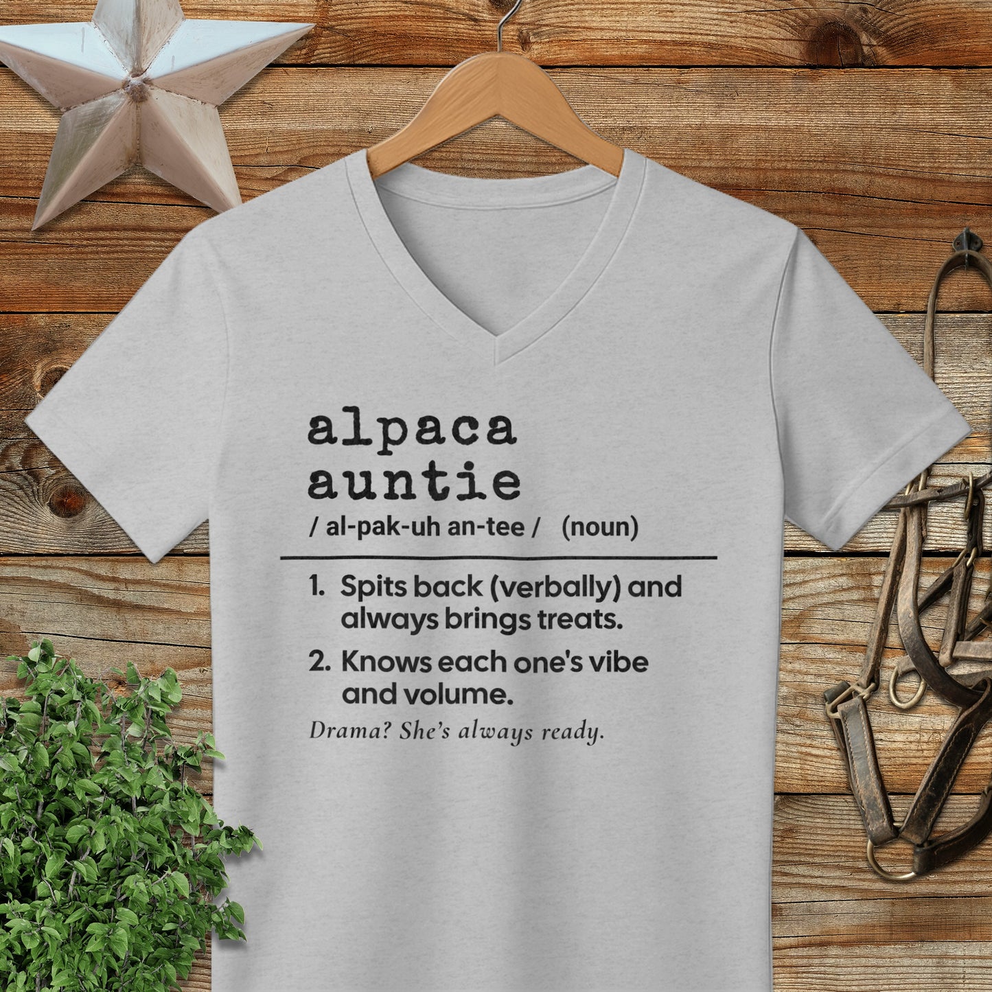 Alpaca Auntie Definition V-neck