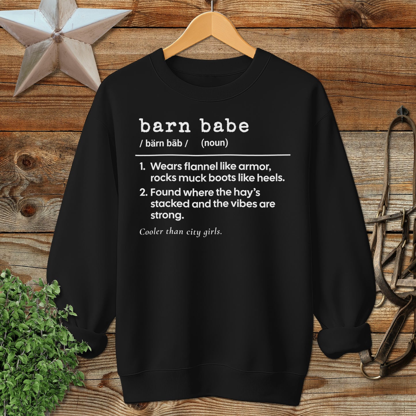 Barn Babe Definition Sweatshirt