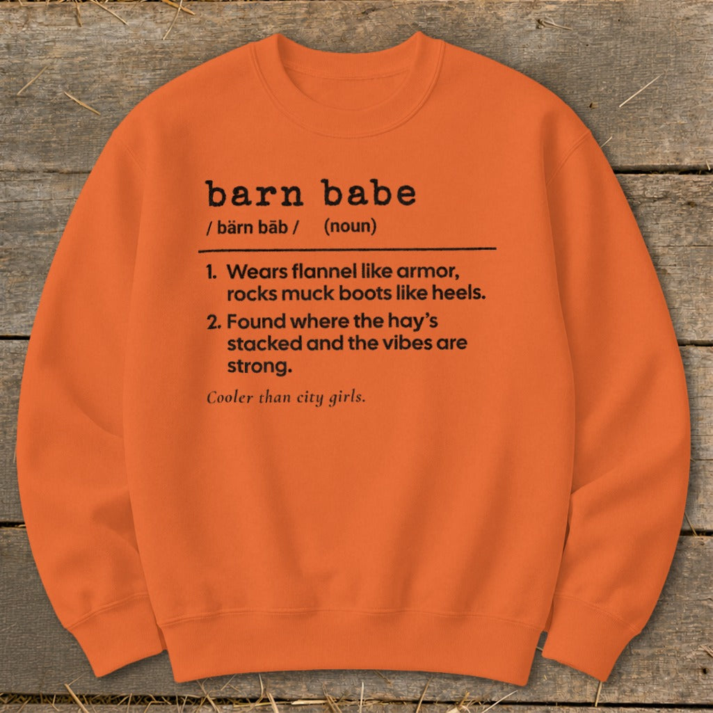 Orange sweatshirt with "barn babe" definition and definition details.