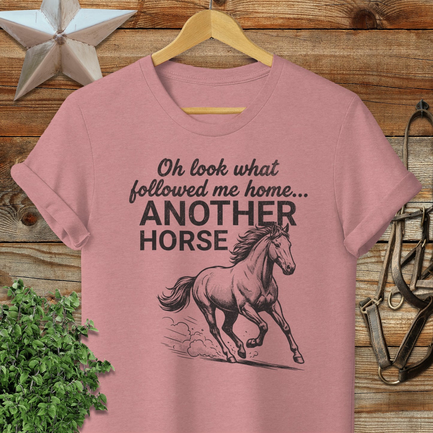 Followed Me Home Horse Softstyle Tee
