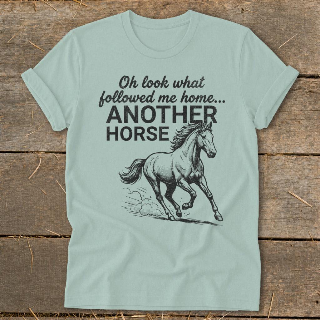 Followed Me Home Horse Softstyle Tee