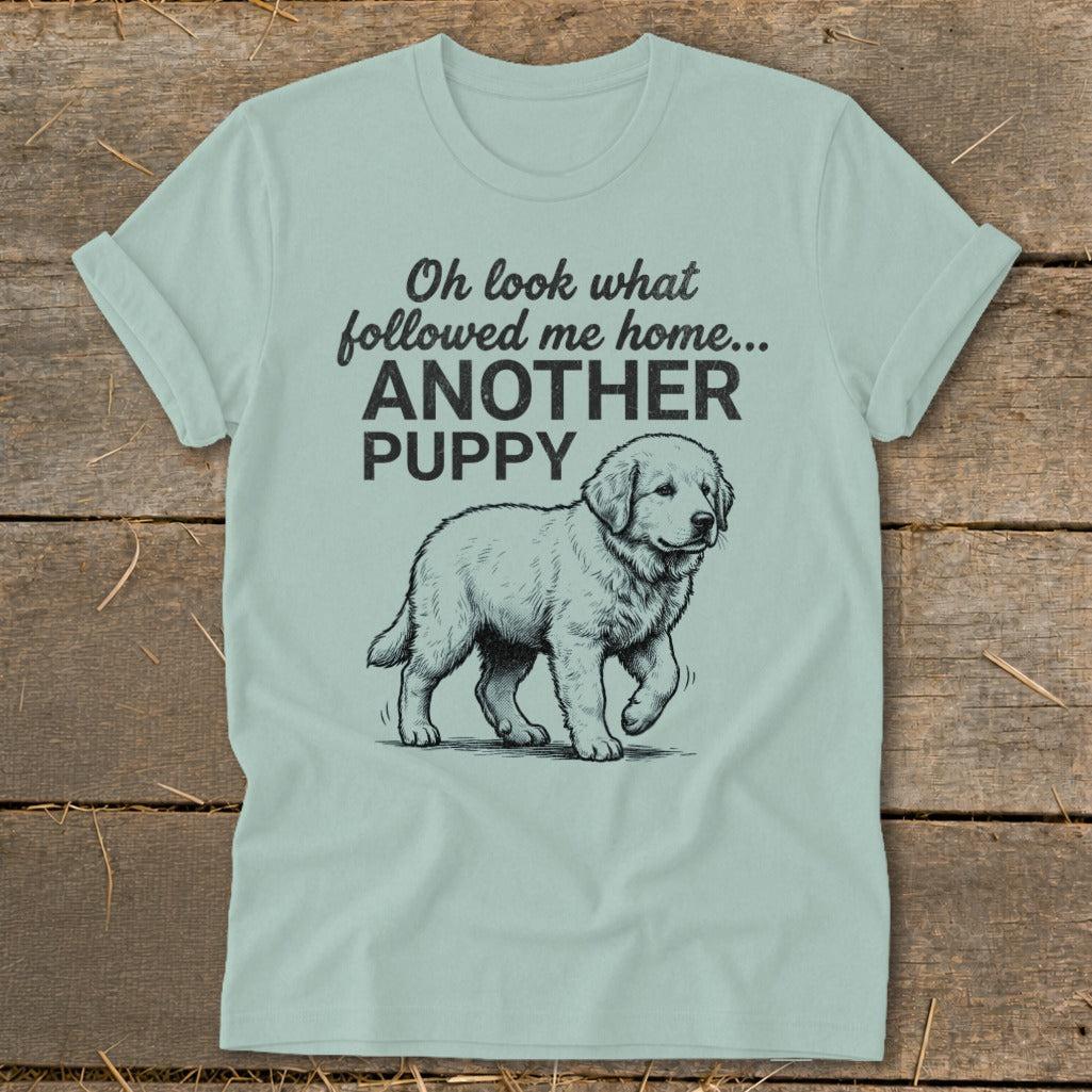 Followed Me Home Puppy Softstyle Tee