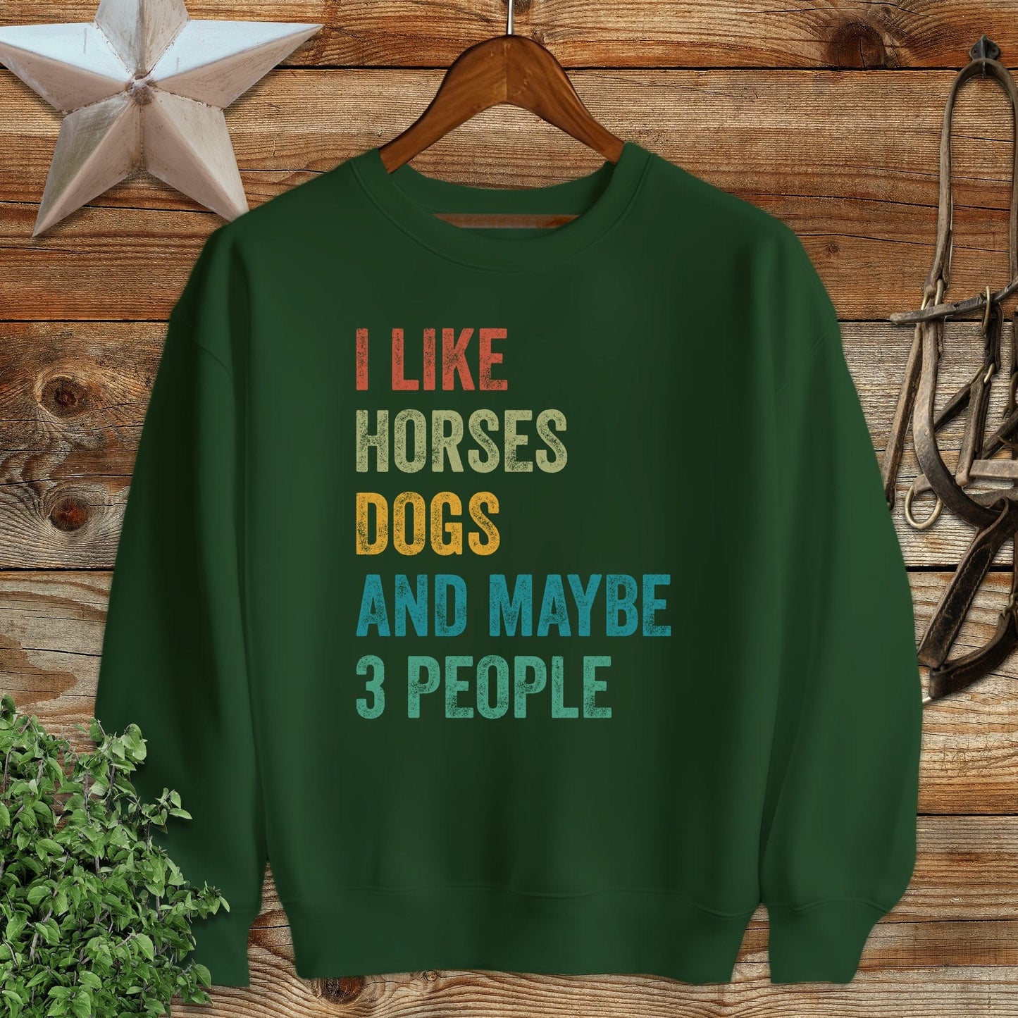 I Like Horses Sweatshirt