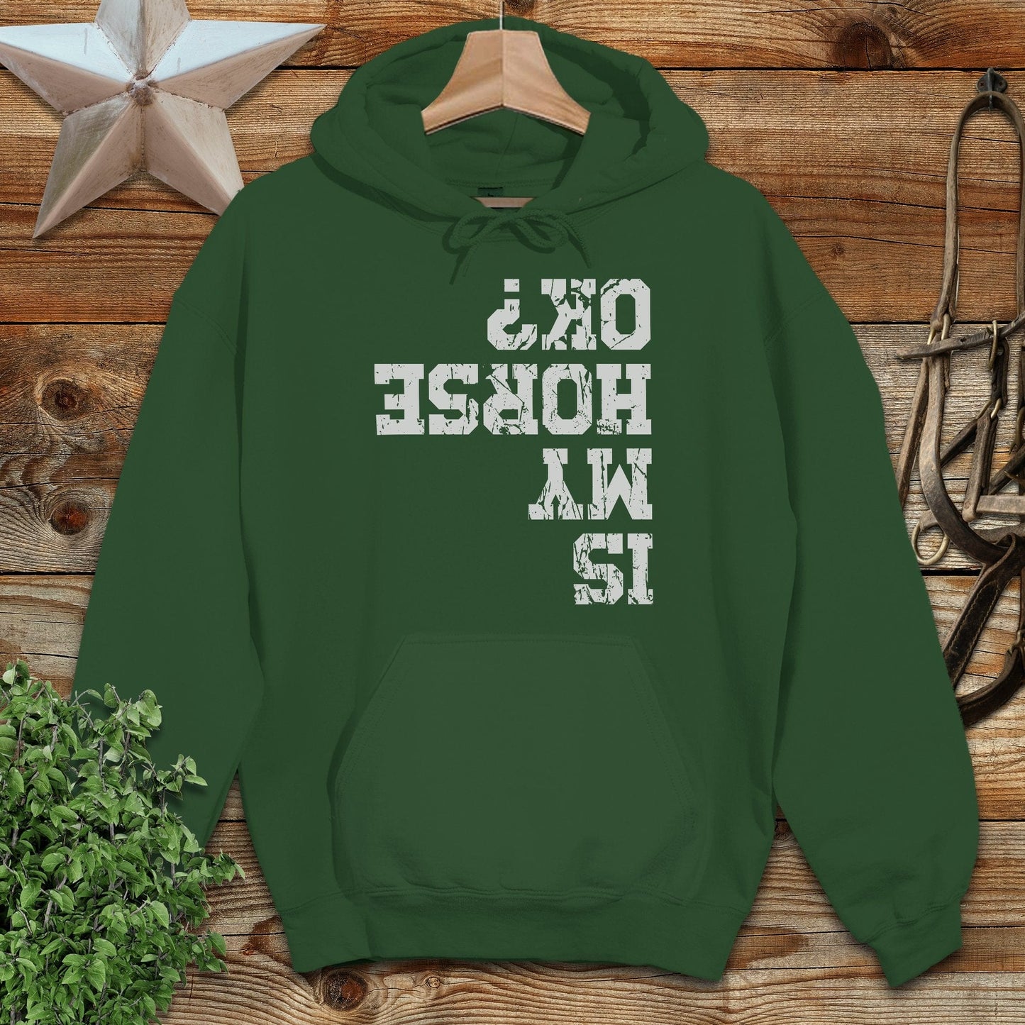 Is My Horse OK Hoodie