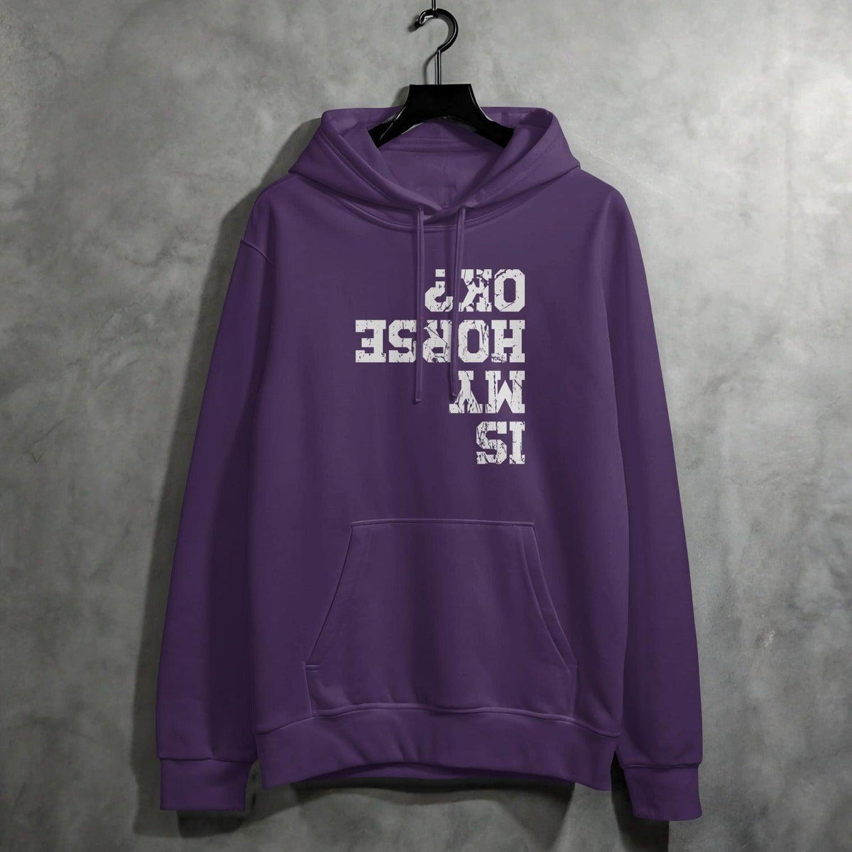 Is My Horse OK Hoodie