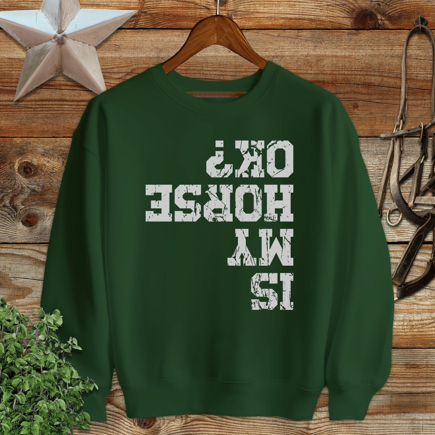 Is My Horse OK Sweatshirt