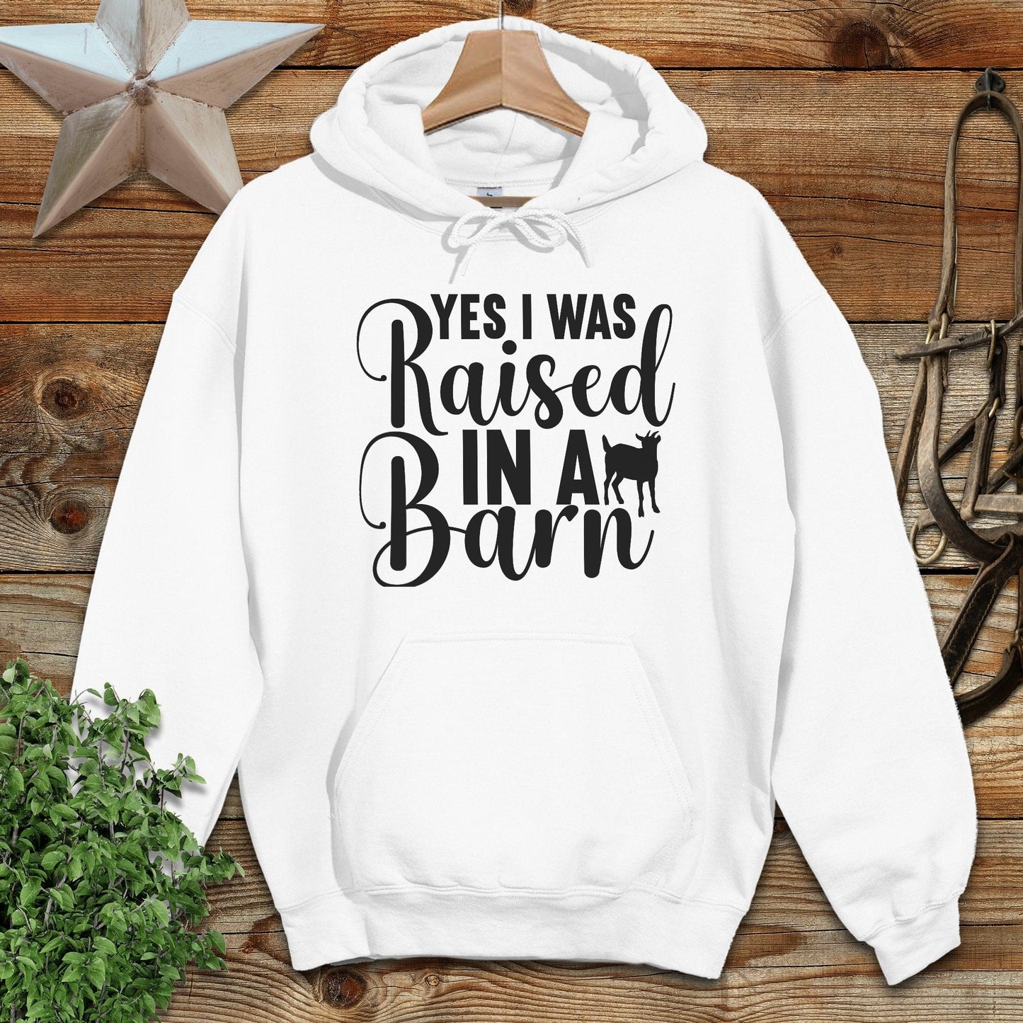 Raised In A Barn Hoodie