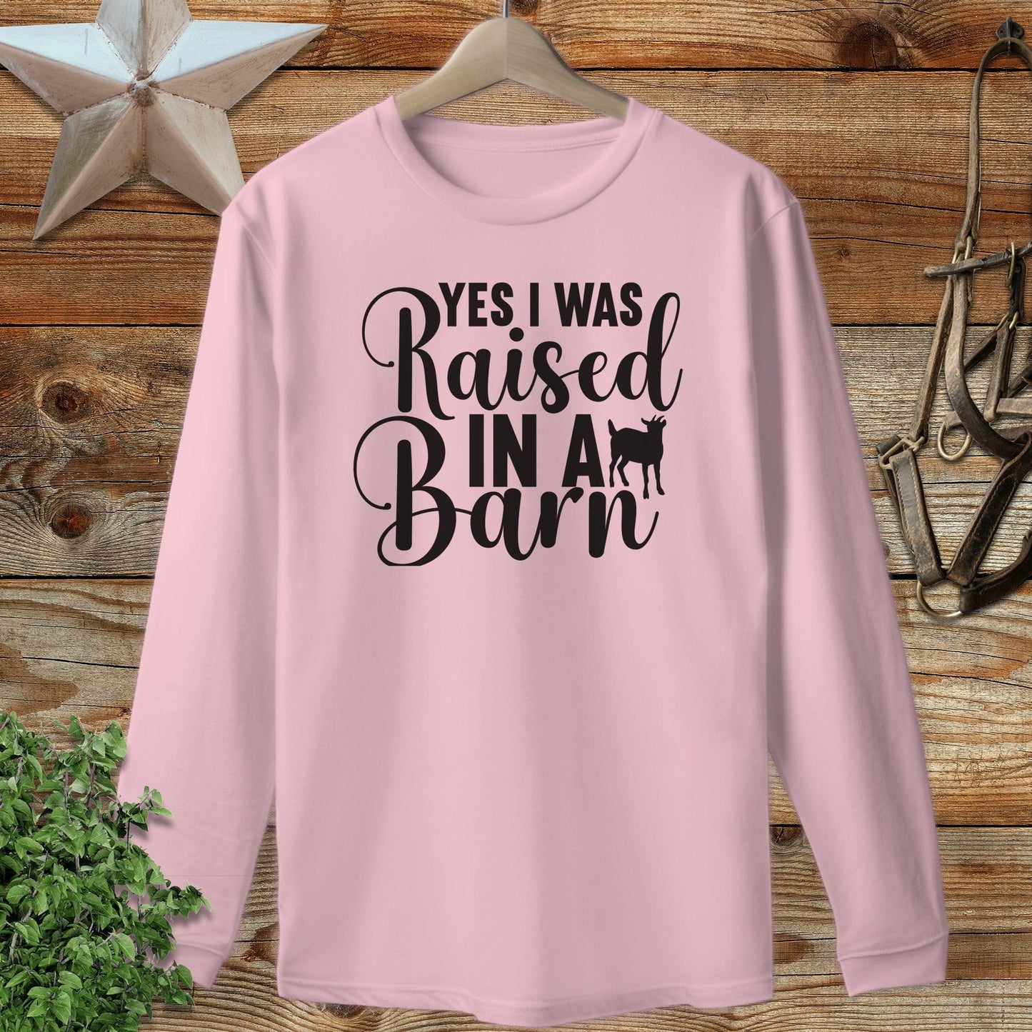 Raised In A Barn Long Sleeve Tee