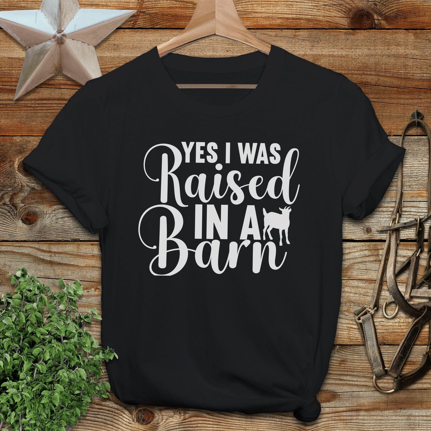 Raised In A Barn T-shirt
