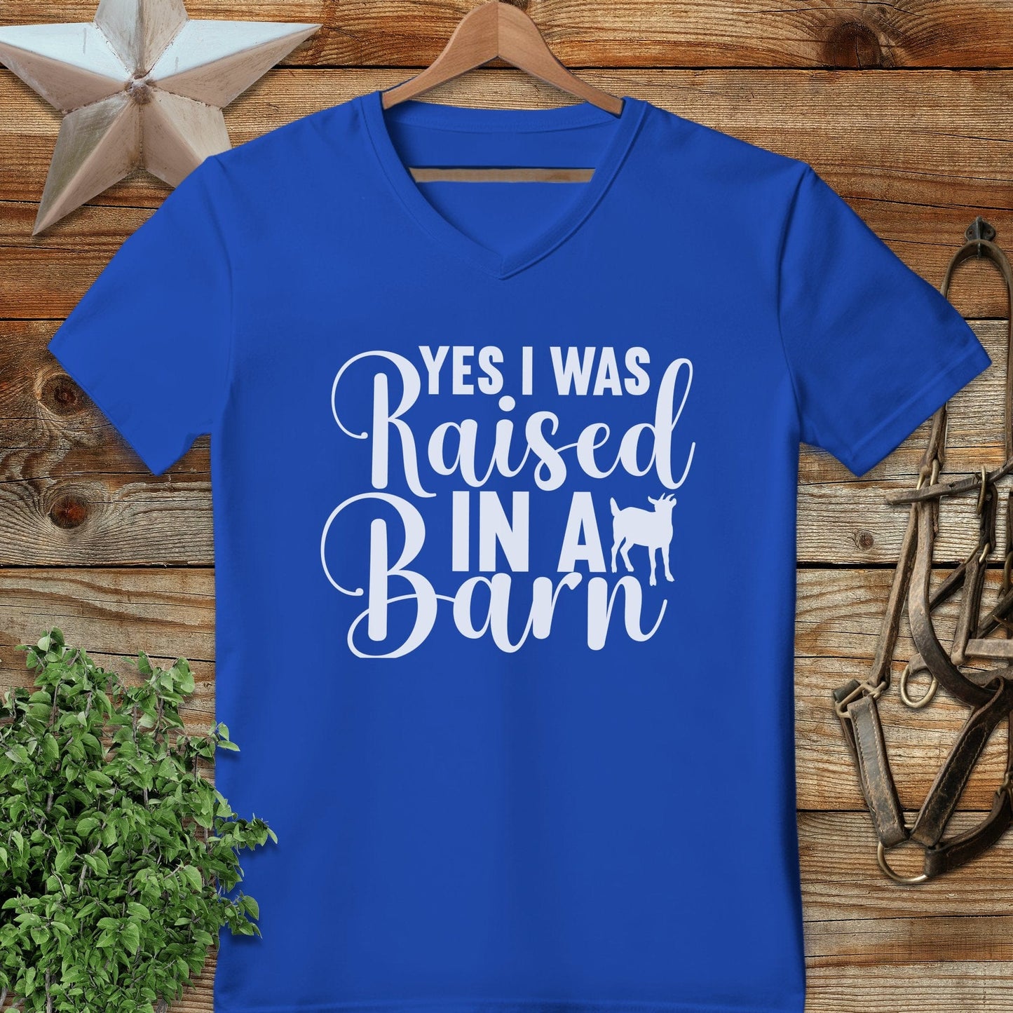 Raised In A Barn V-neck