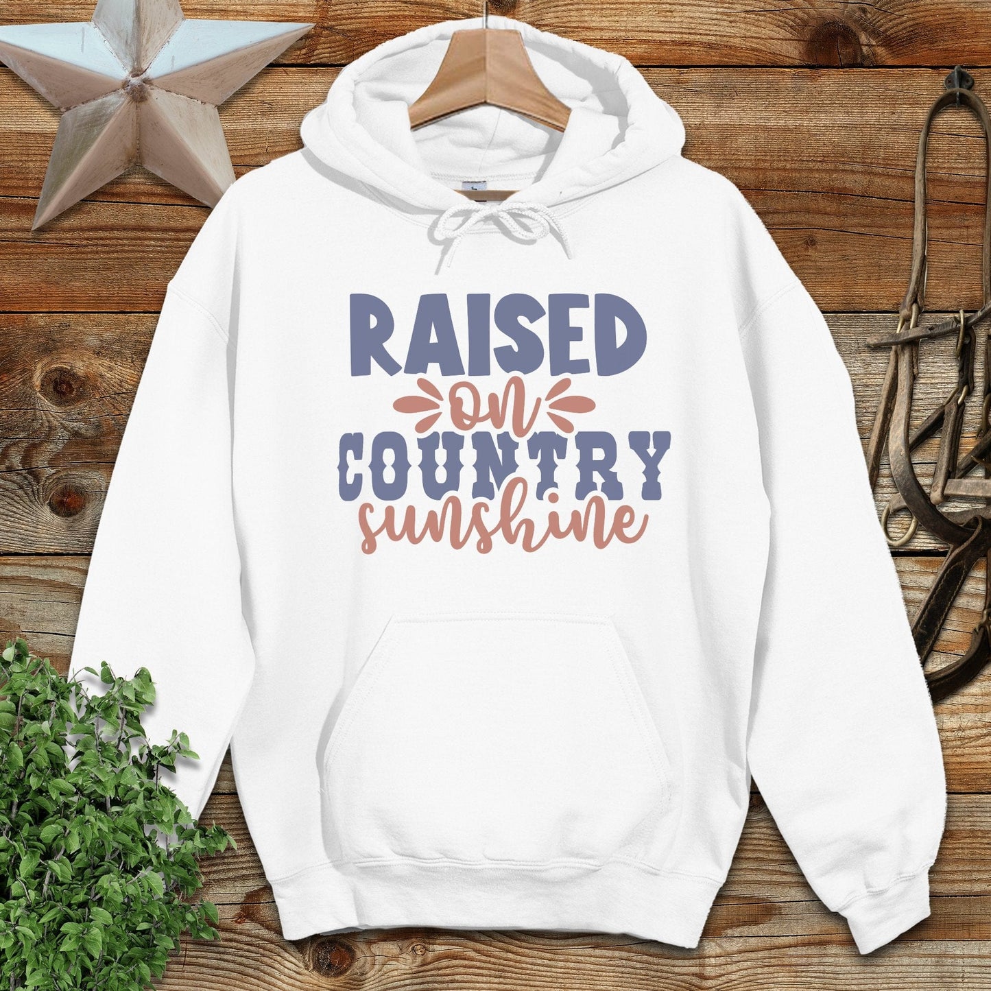 Raised on Country Hoodie