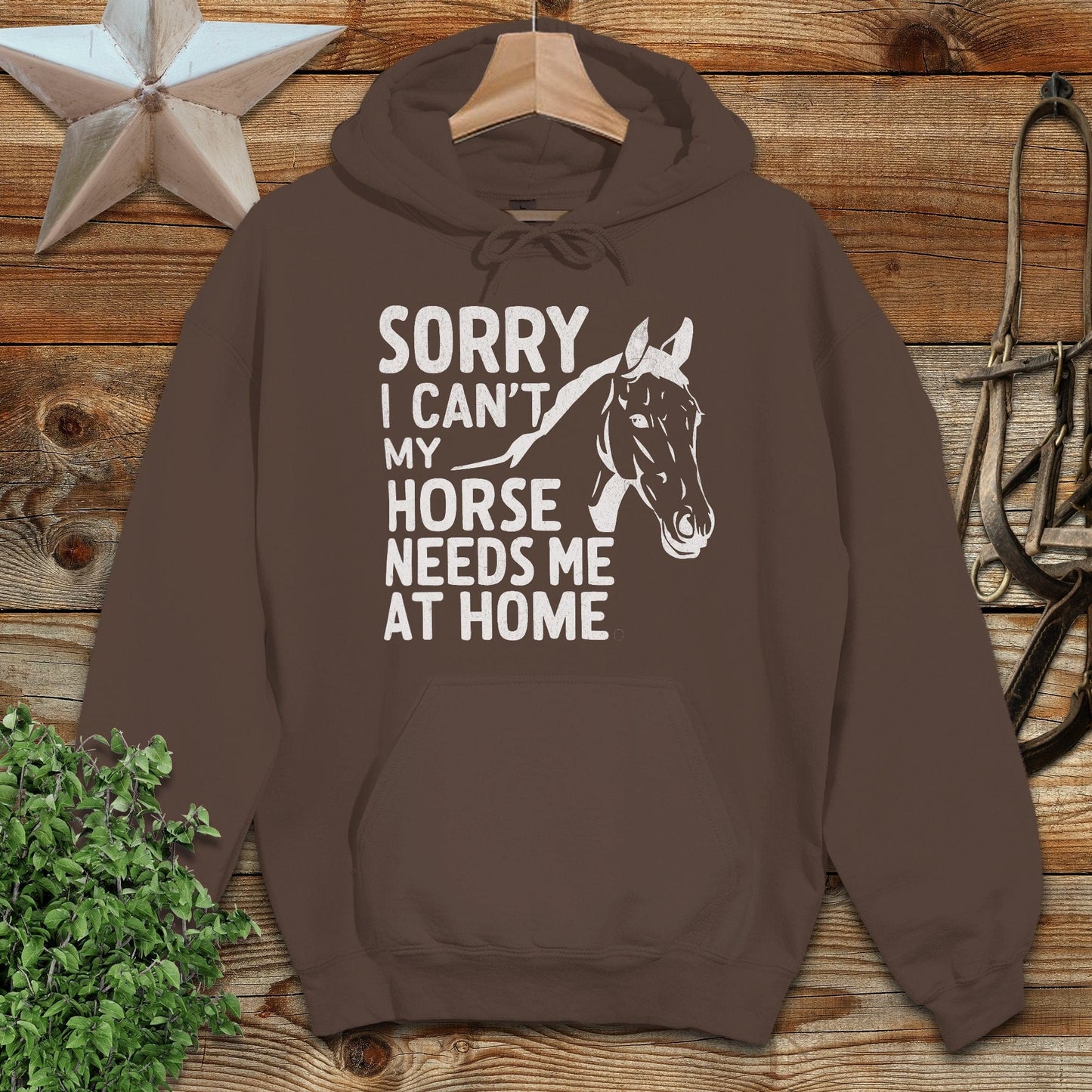 Sorry I Can't Hoodie