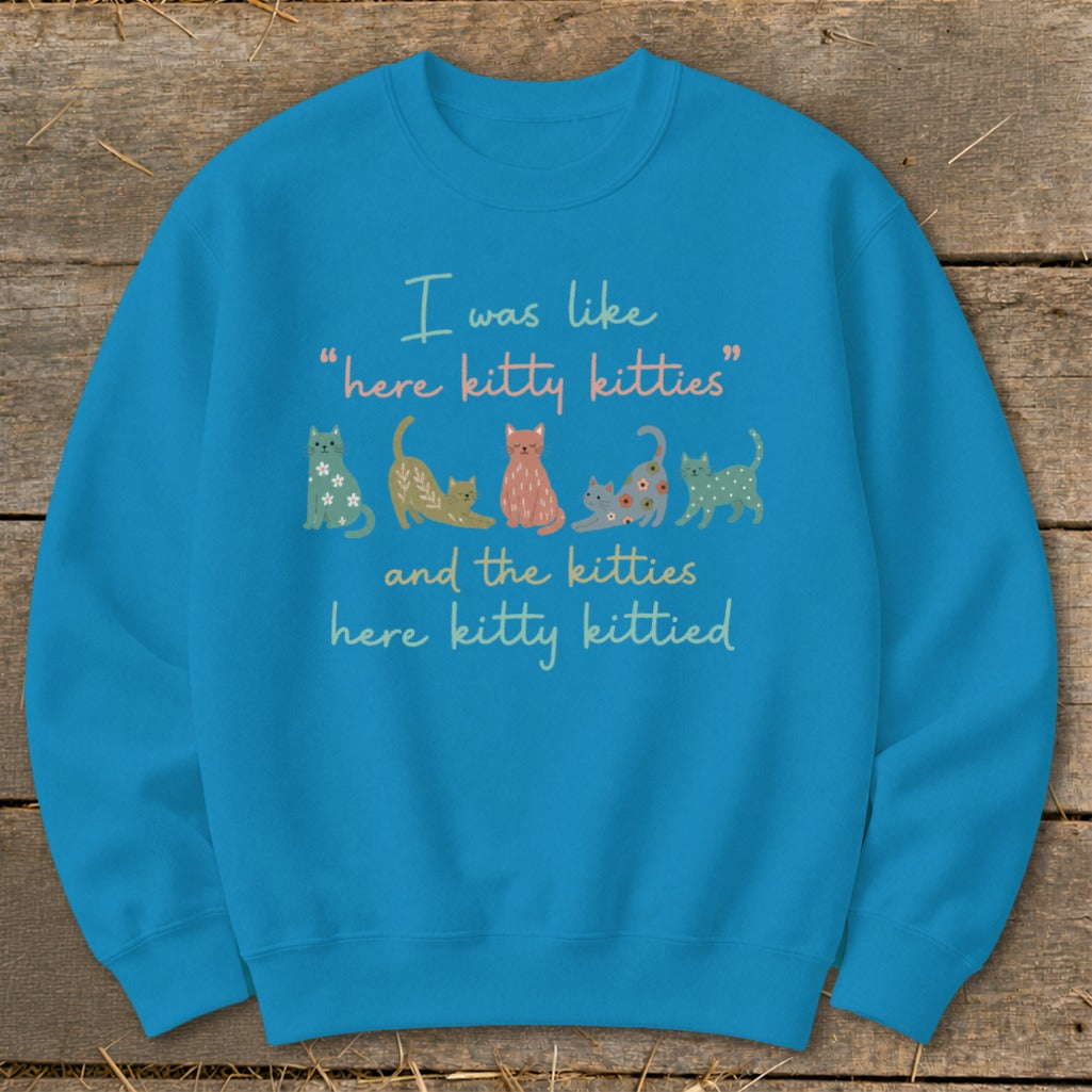 Blue sweatshirt with "here kitty kitties" text and cartoon cats.