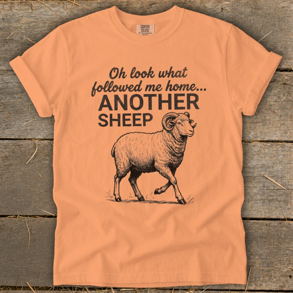 Orange t-shirt with black text and ram graphic. "Oh look what followed me home... ANOTHER SHEEP"