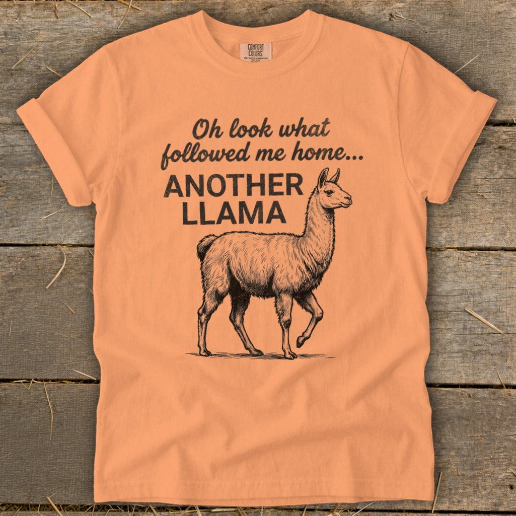 Orange t-shirt with black graphic of a llama and text "Oh look what followed me home... ANOTHER LLAMA".