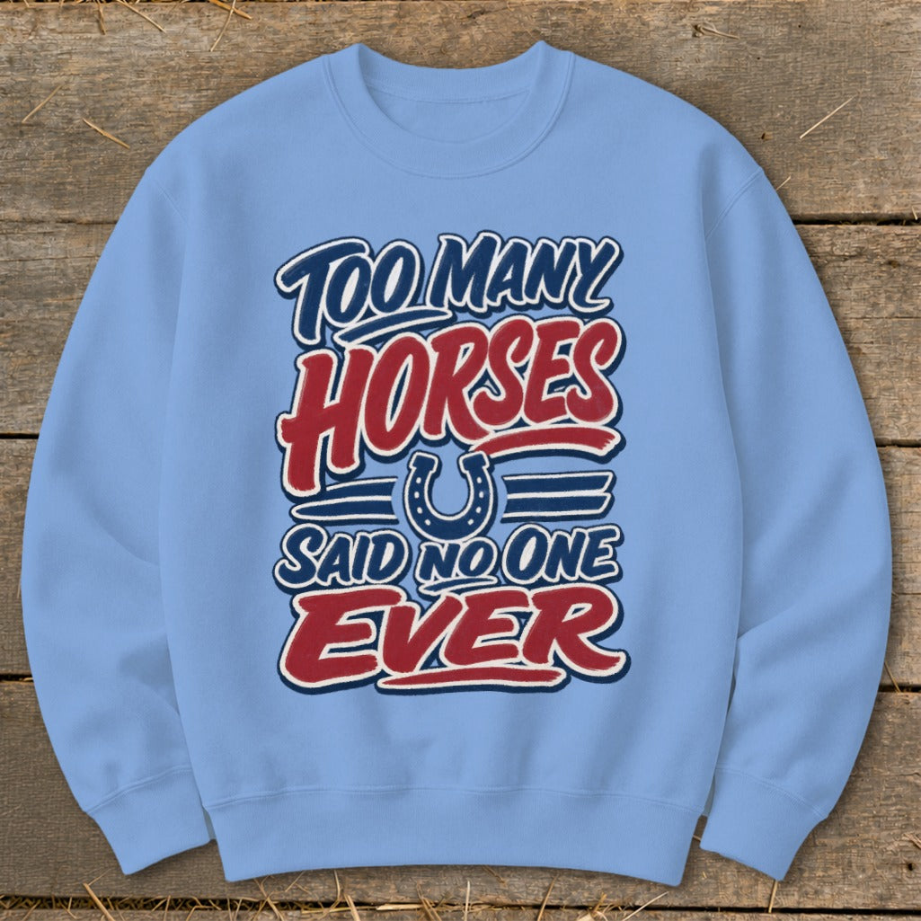Light blue sweatshirt with "Too Many Horses Said No One Ever" text and horseshoe graphic.