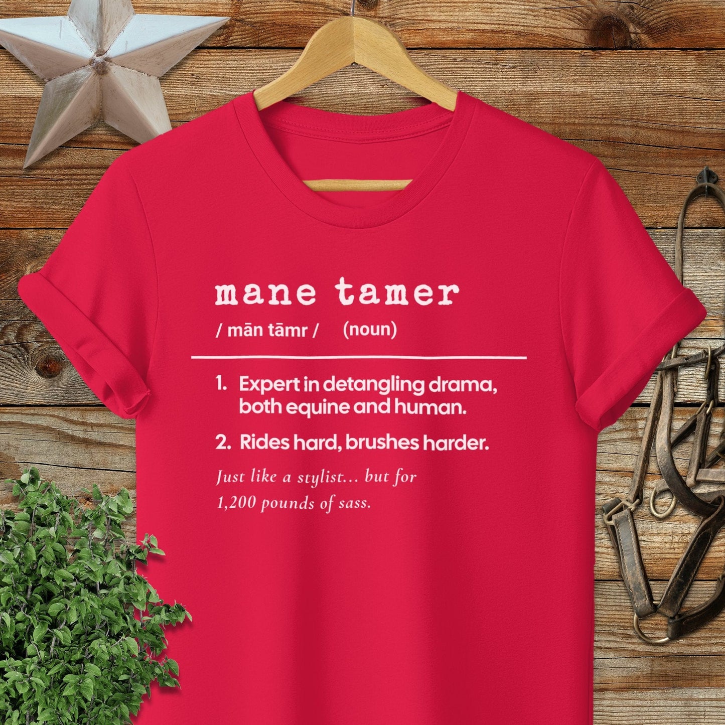 Physical Item Adult T-Shirt / S / Red Mane Tamer Definition T-shirt