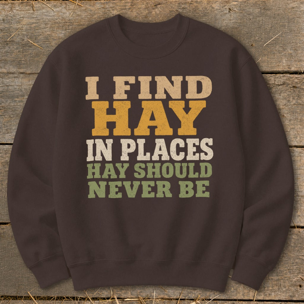 Brown sweatshirt with text "I FIND HAY IN PLACES HAY SHOULD NEVER BE."