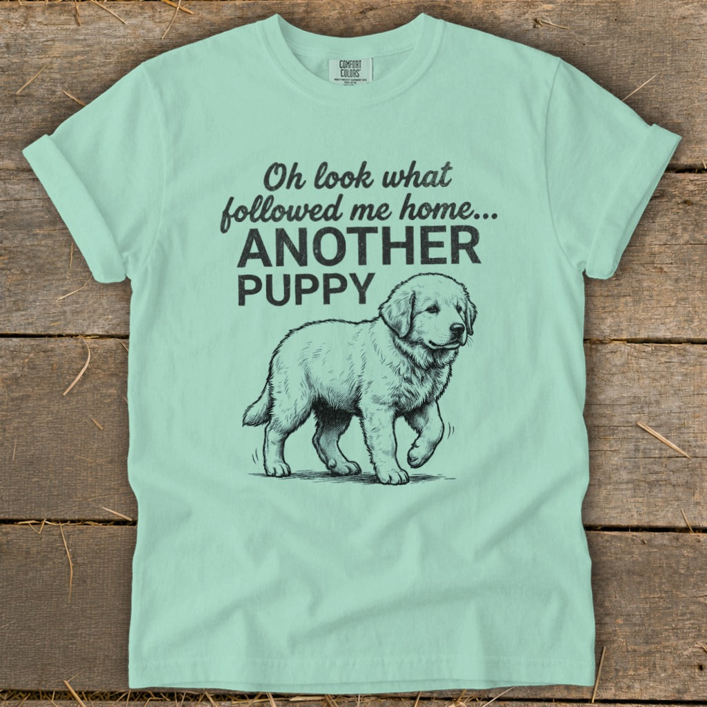 Mint t-shirt with black text "Oh look what followed me home... ANOTHER PUPPY" and puppy illustration.