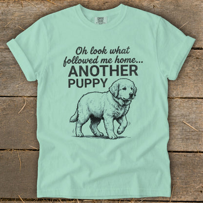 Mint t-shirt with black text "Oh look what followed me home... ANOTHER PUPPY" and puppy illustration.