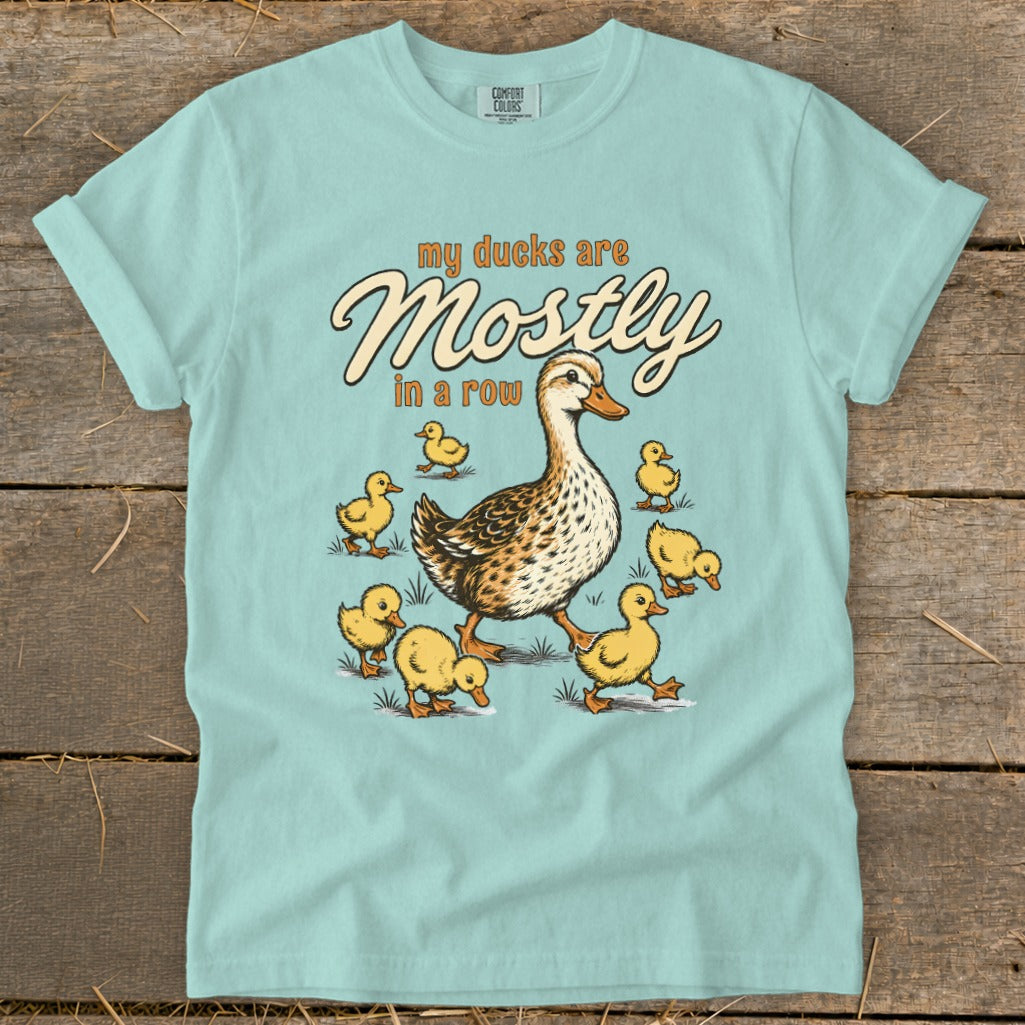 Light blue t-shirt with "my ducks are Mostly in a row" and a duck with ducklings.