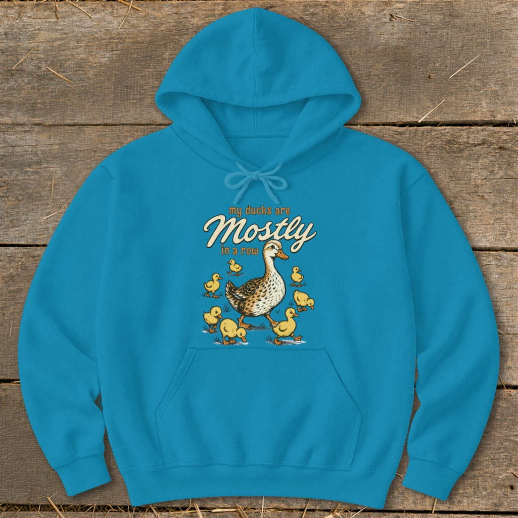 Turquoise hoodie with a graphic of a mother duck and ducklings, and text "my ducks are Mostly in a row".