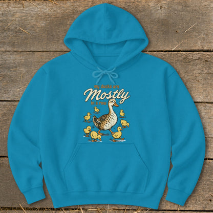 Turquoise hoodie with a graphic of a mother duck and ducklings, and text "my ducks are Mostly in a row".