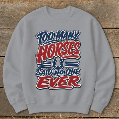 Gray sweatshirt with "Too Many Horses Said No One Ever" graphic and horseshoe.