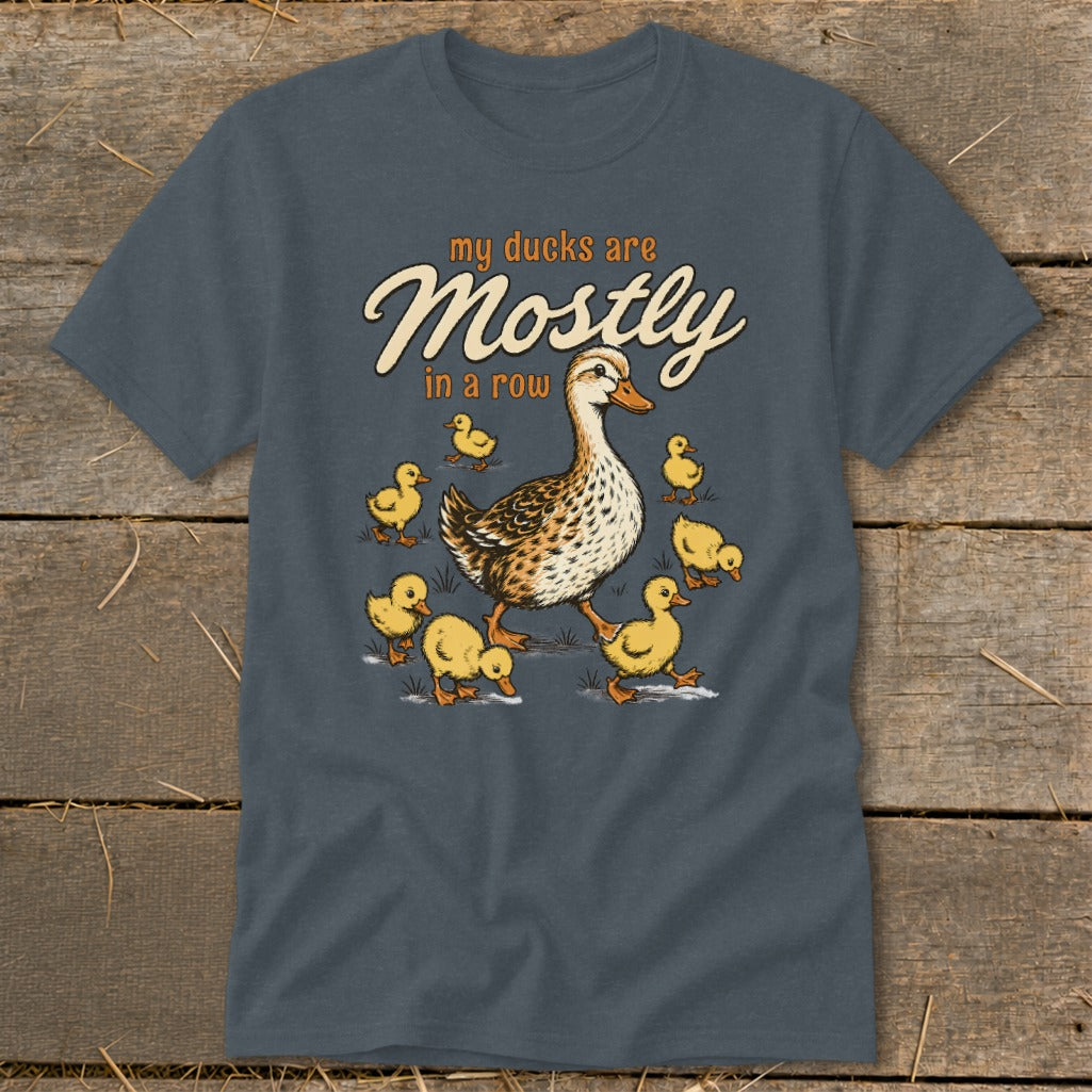 Adult duck and ducklings graphic with text "my ducks are Mostly in a row".