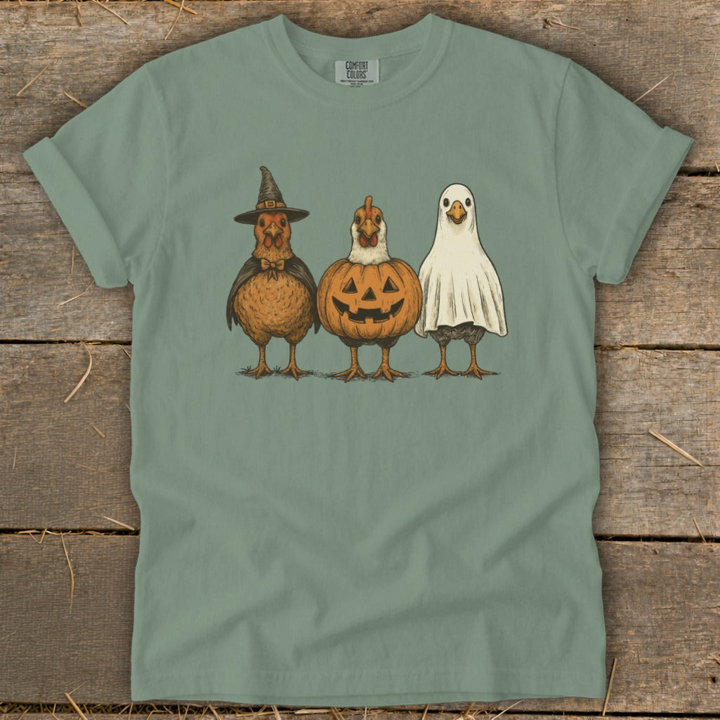 Three chickens dressed for Halloween: witch, pumpkin, and ghost costumes.