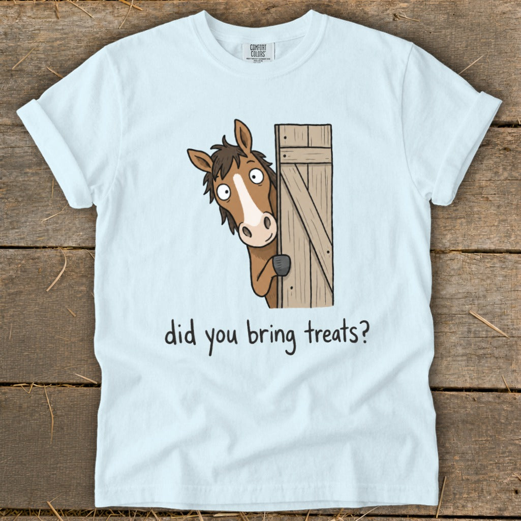 Light blue t-shirt with cartoon horse peeking from a wooden gate, text "did you bring treats?".