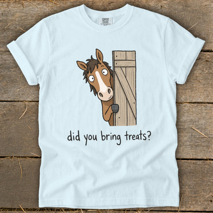 Light blue t-shirt with cartoon horse peeking from a wooden gate, text "did you bring treats?".