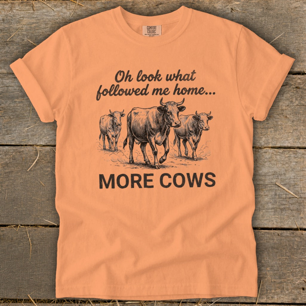Orange t-shirt with three cows and text "Oh look what followed me home... MORE COWS".
