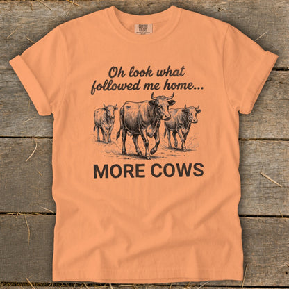 Orange t-shirt with three cows and text "Oh look what followed me home... MORE COWS".