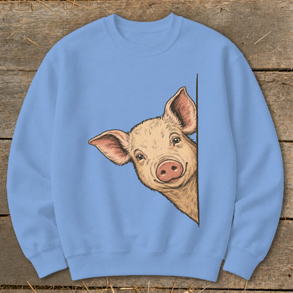 Illustration of a peeking pig on a light blue sweatshirt.