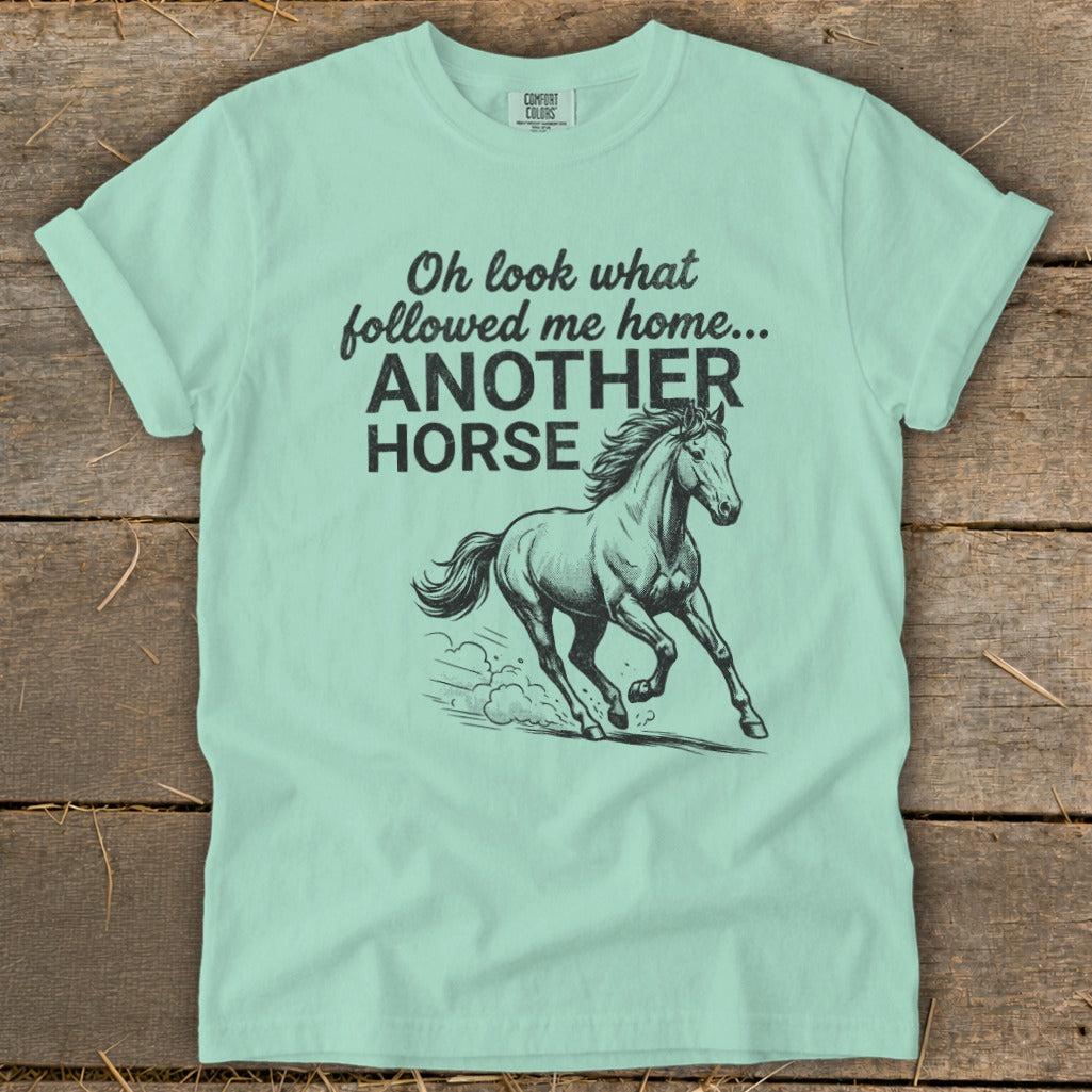 Light blue t-shirt with text "Oh look what followed me home... ANOTHER HORSE" and a horse graphic.