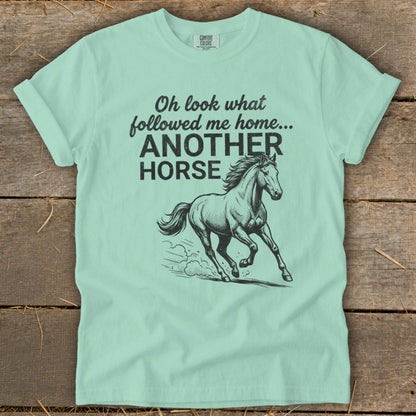Light blue t-shirt with text "Oh look what followed me home... ANOTHER HORSE" and a horse graphic.