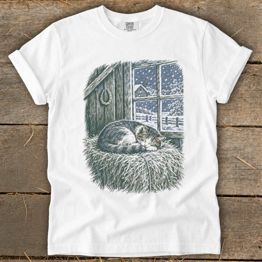 Tabby cat sleeps on hay bale inside barn, snow falling outside window.