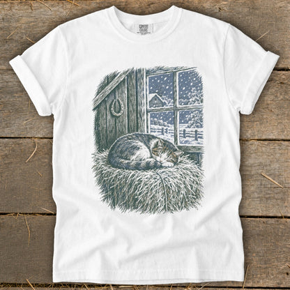 Tabby cat sleeps on hay bale inside barn, snow falling outside window.