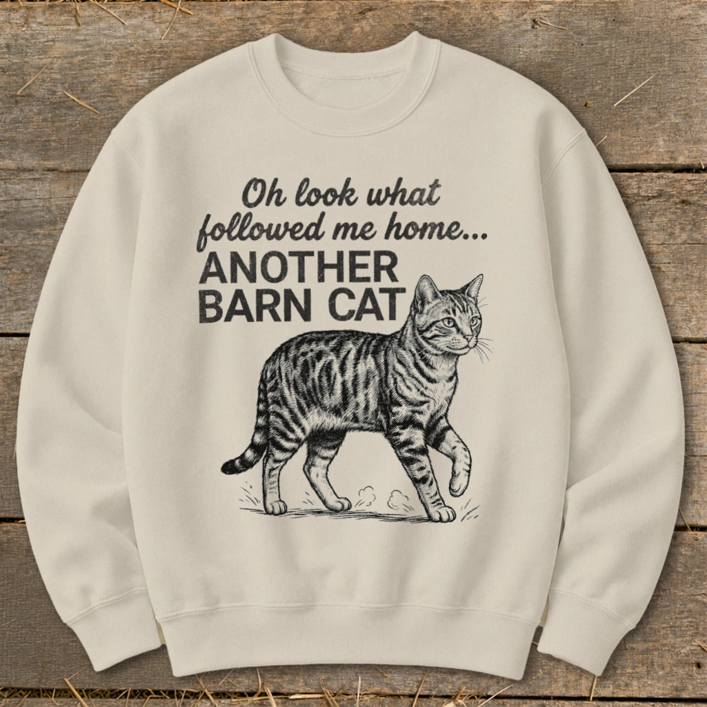 Cream sweatshirt with a drawing of a tabby cat and text "Oh look what followed me home... ANOTHER BARN CAT".