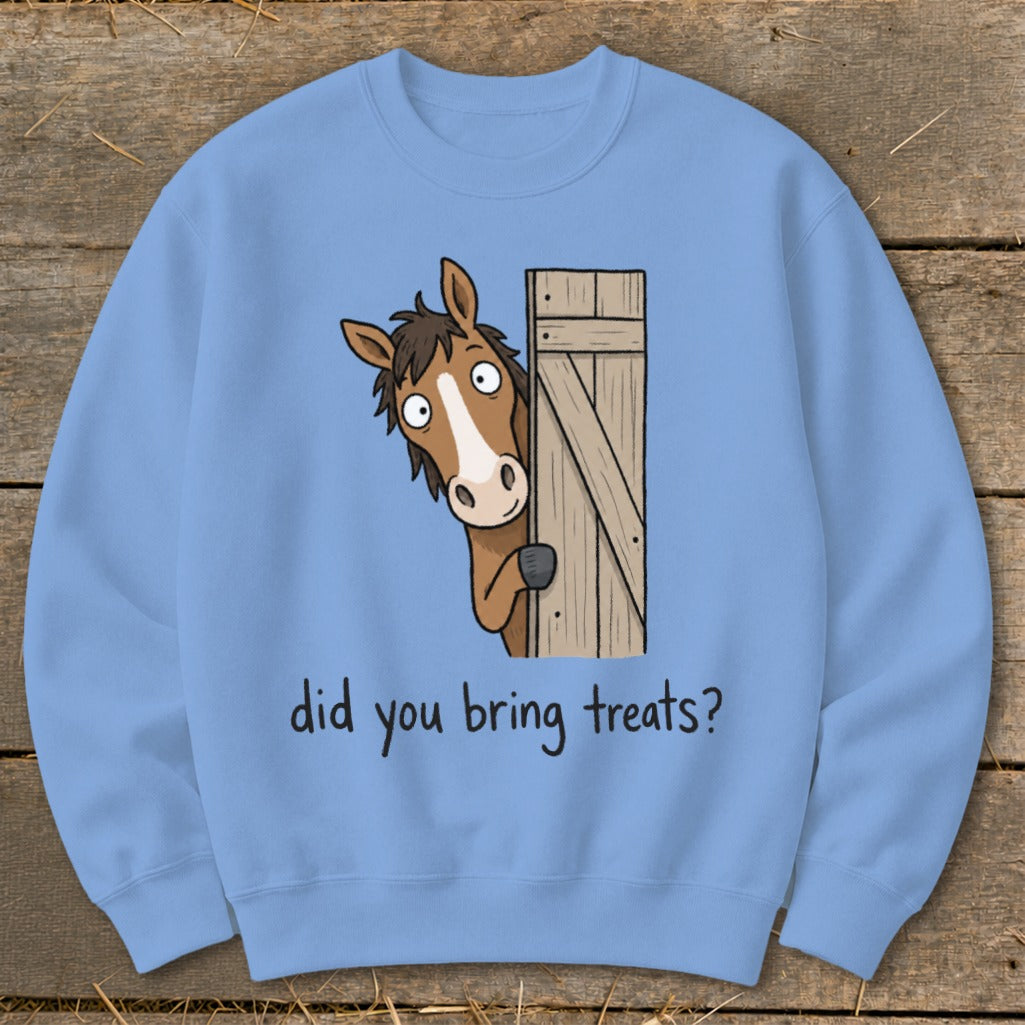 Light blue sweatshirt with cartoon horse peeking from behind a wooden door, asking "did you bring treats?".