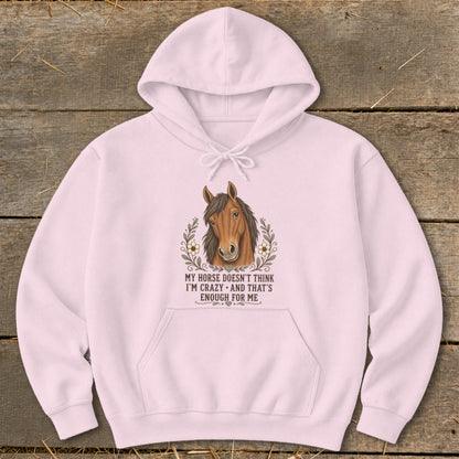 Pink hoodie with a horse graphic and text: "My horse doesn't think I'm crazy."